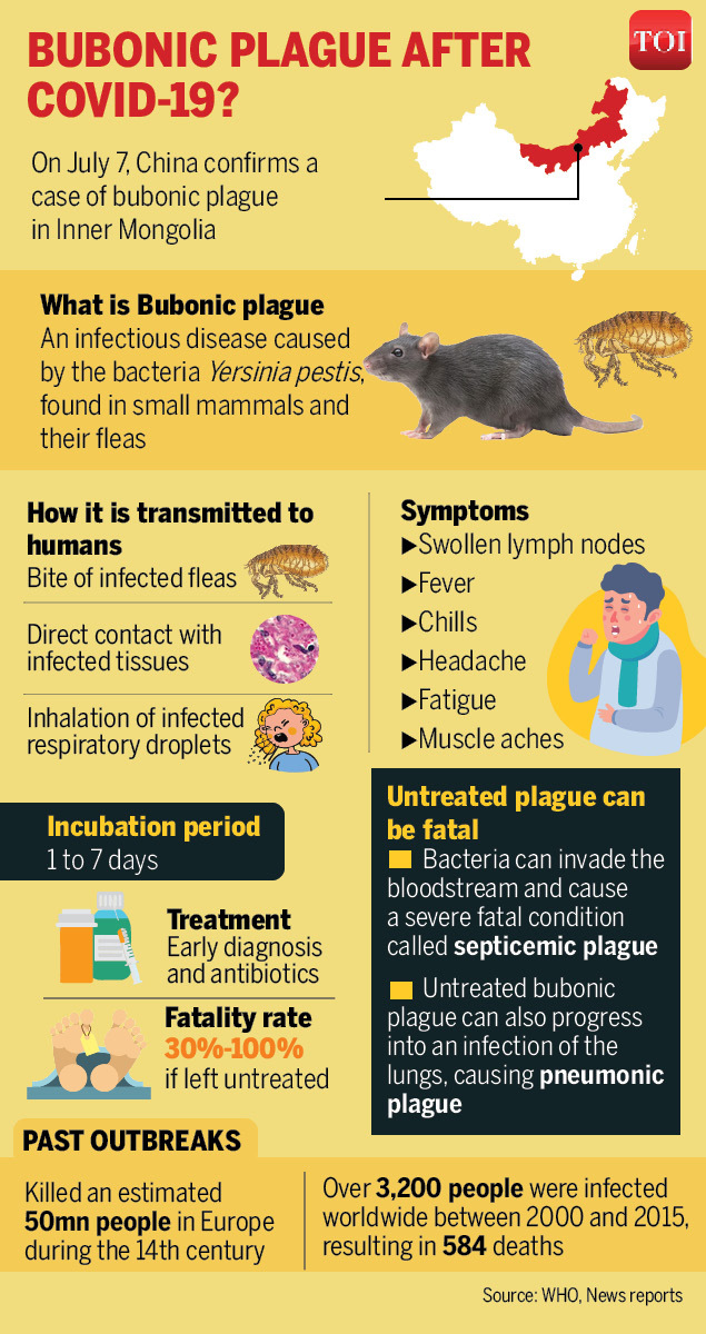 China Announces Novel Case Of The Bubonic Plague COWRY NEWS