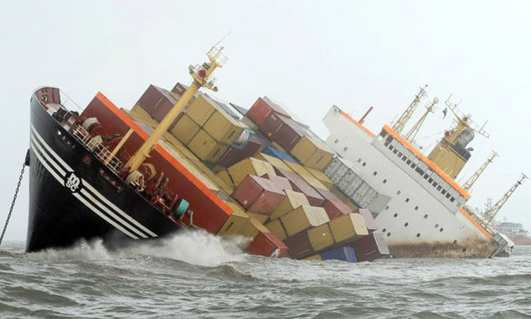 Typhoon Cargo Ship With 43 Crew And 6 000 Cows Sink Off Japan S Coast